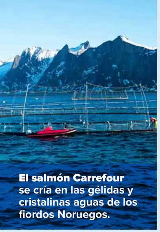 El salmón Carrefour