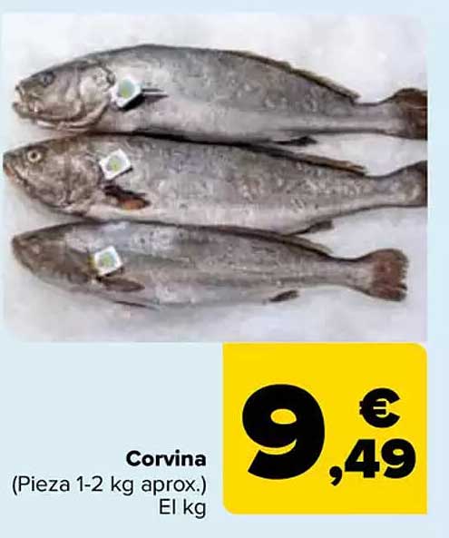 Corvina