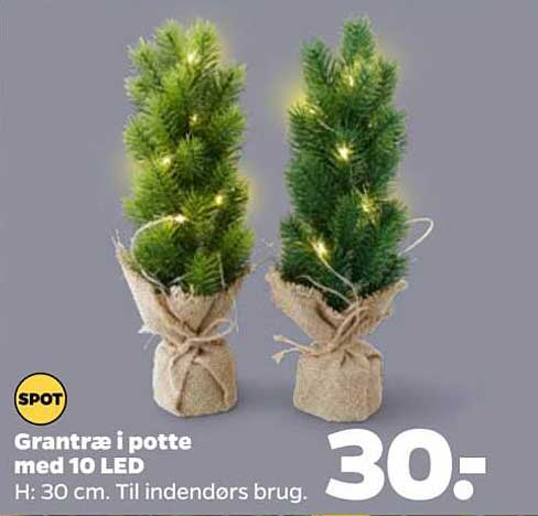 Grantræ i potte med 10 LED