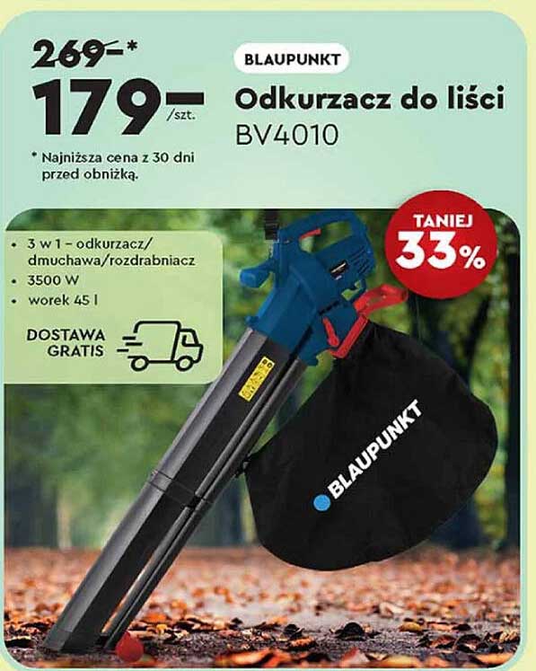 Odkurzacz do liści BV4010