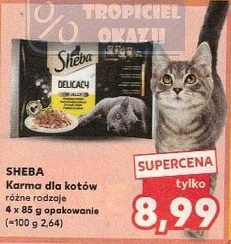 SHEBA Karma dla kotów