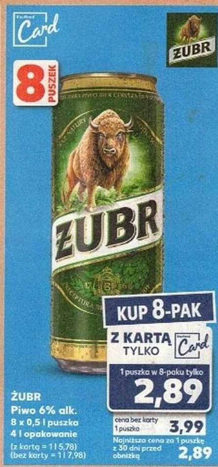 Żubr