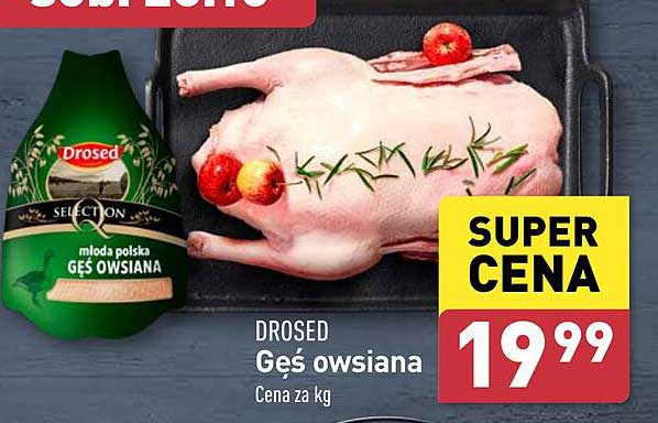 DROSED Gęś owsiana