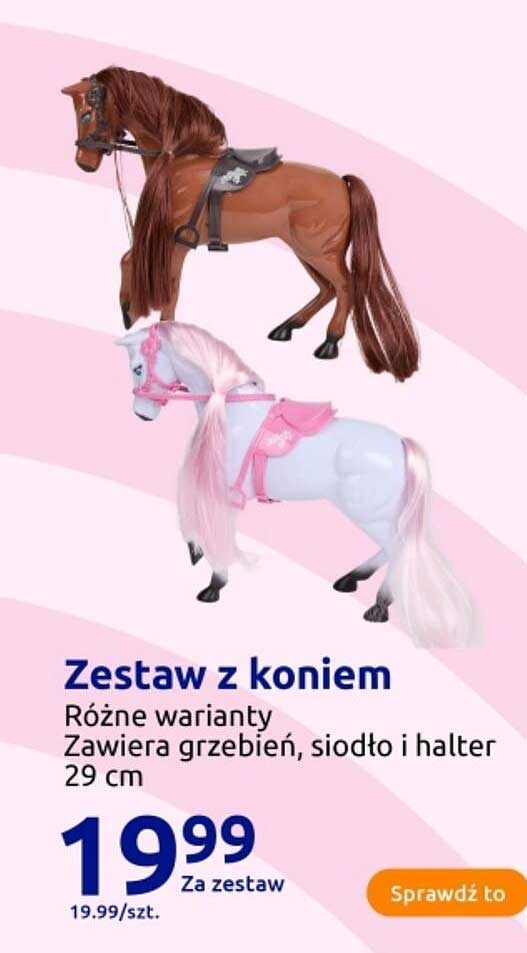 Zestaw z koniem