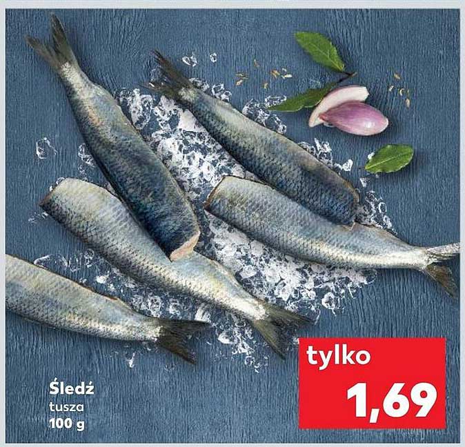 Śledź tusza