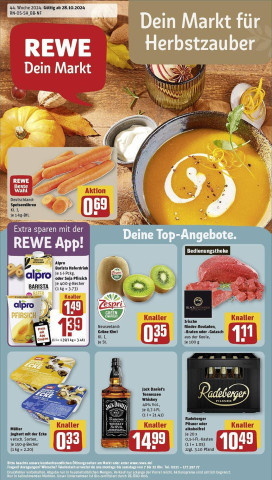 REWE Prospekt