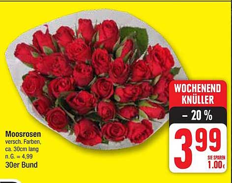 Moosrosen 30er Bund