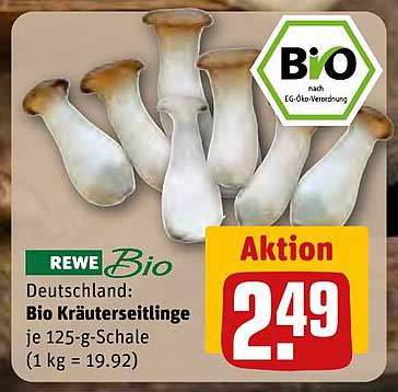 Bio Kräuterseitlinge