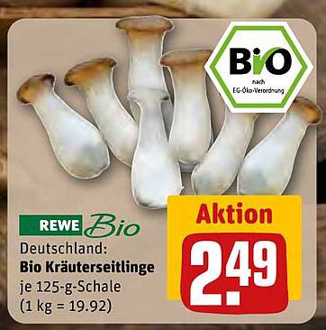 Bio Kräuterseitlinge