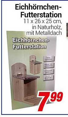 Eichhörnchen-Futterstation