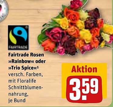 Fairtrade Rosen »Rainbow« oder »Trio Spice«