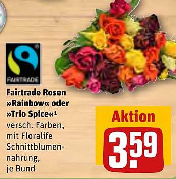 Fairtrade Rosen »Rainbow« oder »Trio Spice«