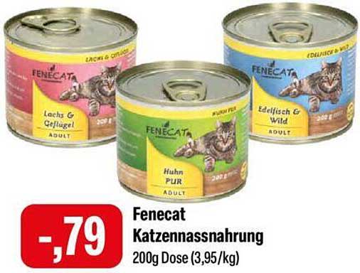 Fenecat Katzennassnahrung