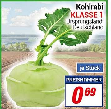 Kohlrabi Klasse 1