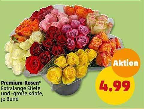 Premium-Rosen*