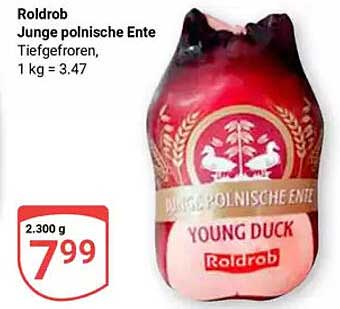 Roldrob Junge polnische Ente