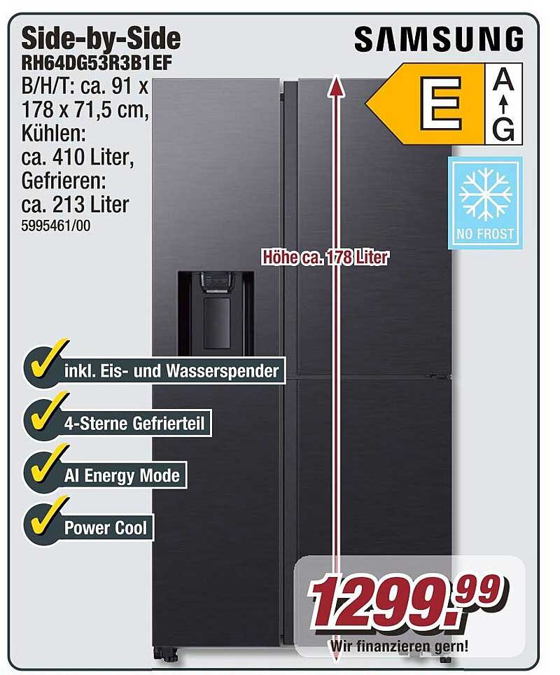 Side-by-Side Kühlschrank RH64DG53R3B1EF