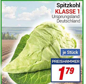 Spitzkohl KLASSE 1