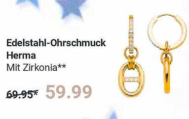 Edelstahl-Ohrschmuck Herma