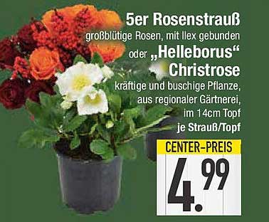 5er Rosenstrauß