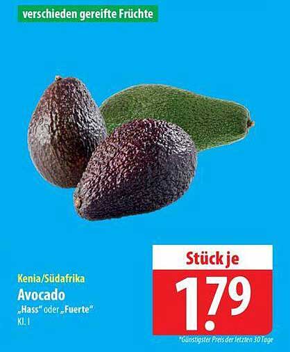 Avocado „Hass“ oder „Fuerte“