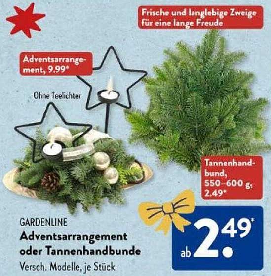 GARDENLINE Adventsarrangement oder Tannenhandbunde