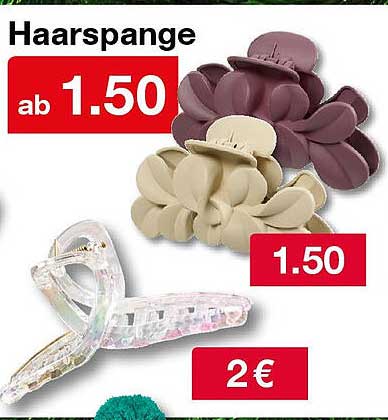 Haarspange