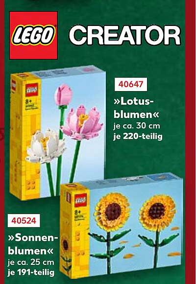 »Lotus-blumen«  
»Sonnen-blumen«