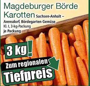 Magdeburger Börde Karotten