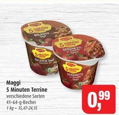 Maggi 5 Minuten Terrine