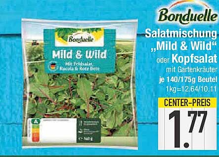 Salatmischung „Mild & Wild“ oder Kopfsalat