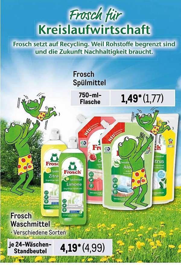 Frosch Spülmittel