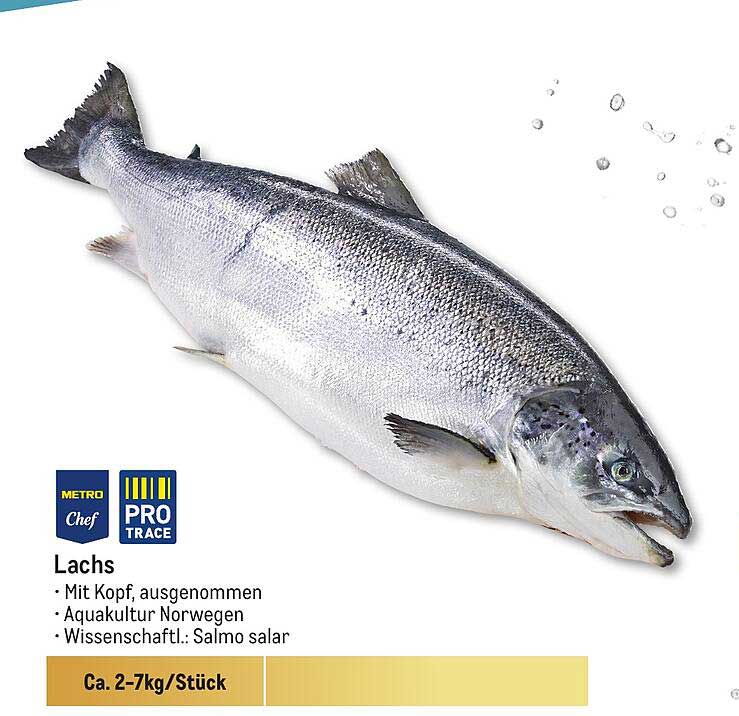 Lachs