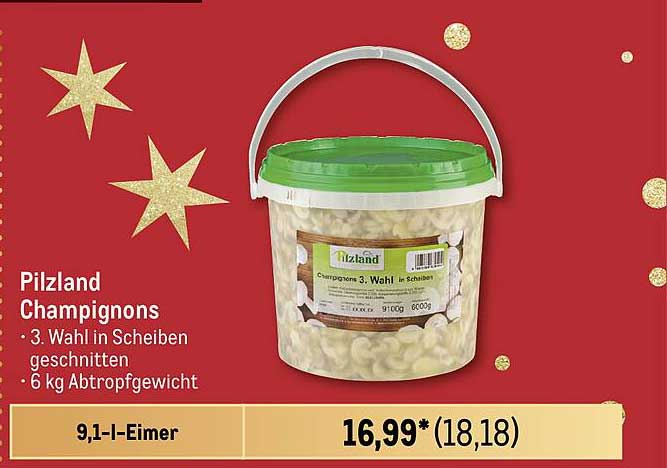 Pilzland Champignons