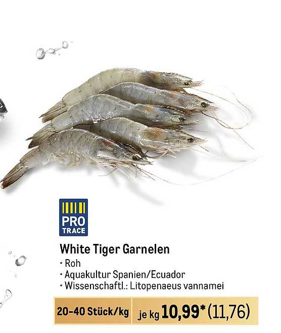 White Tiger Garnelen