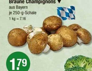 Braune Champignons