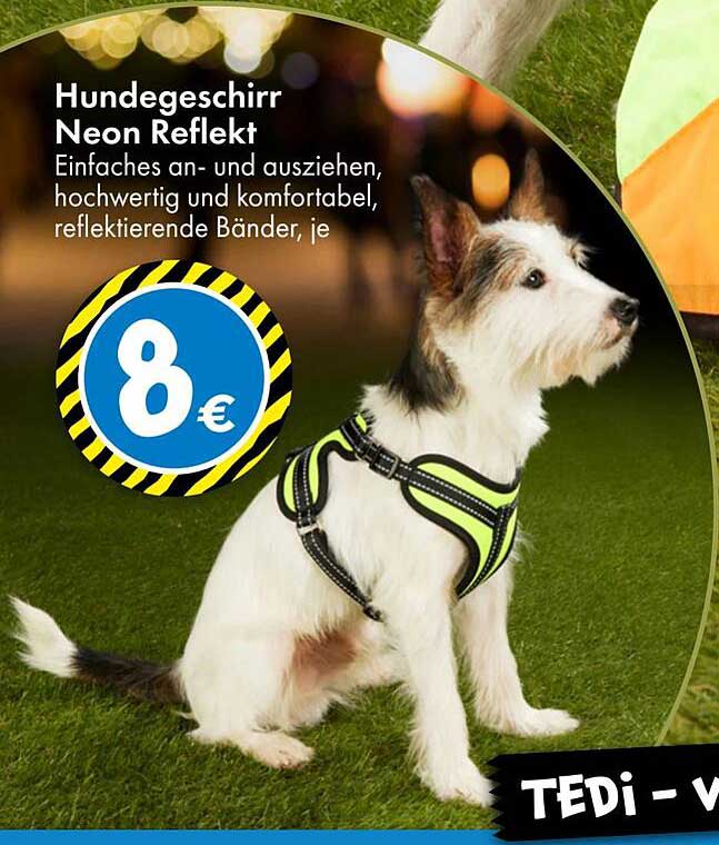 Hundegeschirr Neon Reflekt