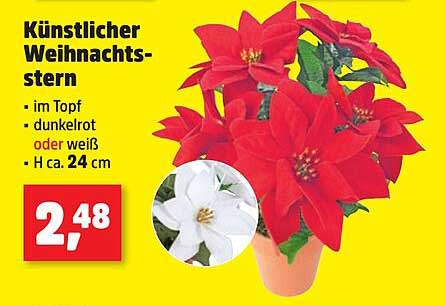 Künstlicher Weihnachtsstern