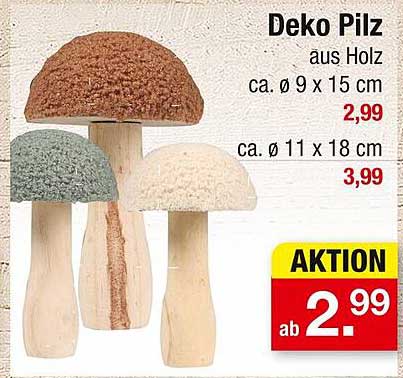 Deko Pilz