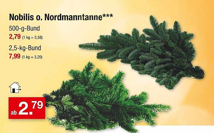 Nobilis o. Nordmanntanne***