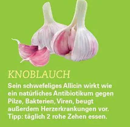 KNOBLAUCH