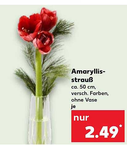 Amaryllisstrauß