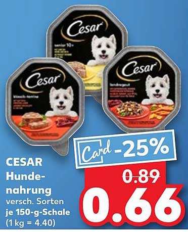 CESAR Hundenahrung