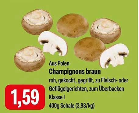 Champignons braun