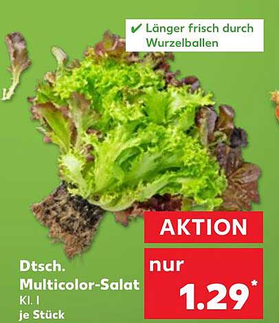 Dtsch. Multicolor-Salat