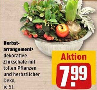 Herbst-arrangement dekorative Zinkschale mit tollen Pflanzen und herbstlicher Deko