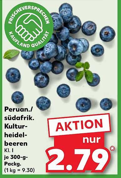 Peruan./südafrik. Kulturheidelbeeren