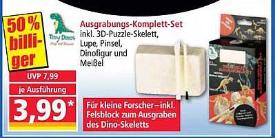 Ausgrabungs-Komplett-Set