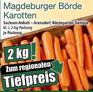 Magdeburger Börde Karotten