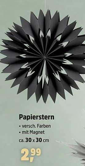 Papierstern